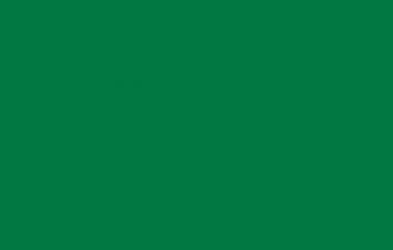 Oracal folia ploterowa seria 641 068 trawiasto zielony - szerokość 50 cm
