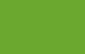Oracal folia ploterowa seria 641 063 pastelowy zielony - szerokość 100 cm