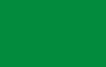 Oracal folia ploterowa seria 641 062 jasny zielony - szerokość 100 cm