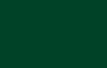 Oracal folia polimerowa seria 551 060 ciemny zielony połysk - szerokość 100 cm