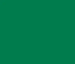 Oracal folia ploterowa seria 641 061 zielony - szerokość 100 cm