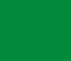 Oracal folia ploterowa seria 641 064 żółto zielony - szerokość 100 cm