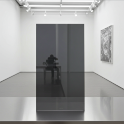 Płyta plexi PMMA szara transparentna DYMIONA 3mm 50x30cm