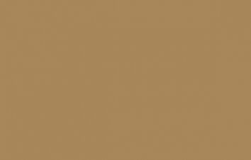 Oracal folia ploterowa seria 641 081 jasny brązowy - szerokość 50 cm