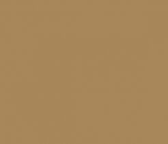 Oracal folia ploterowa seria 641 081 jasny brązowy - szerokość 50 cm