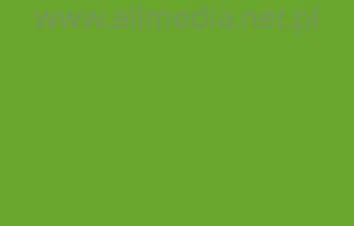 Oracal folia ploterowa seria 641 063 pastelowy zielony - szerokość 100 cm