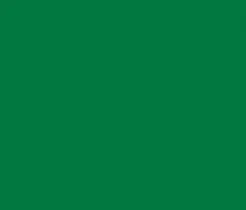 Oracal folia ploterowa seria 641 068 trawiasto zielony - szerokość 100 cm