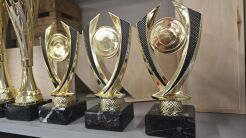 Statuetka złota 4382 19,5cm